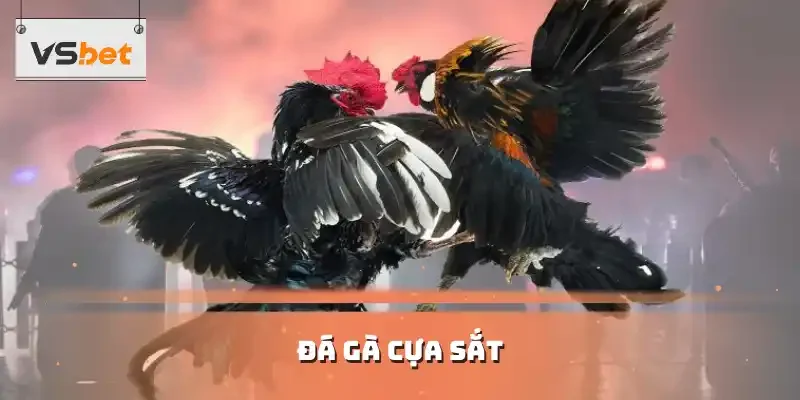 Đá gà cựa sắt