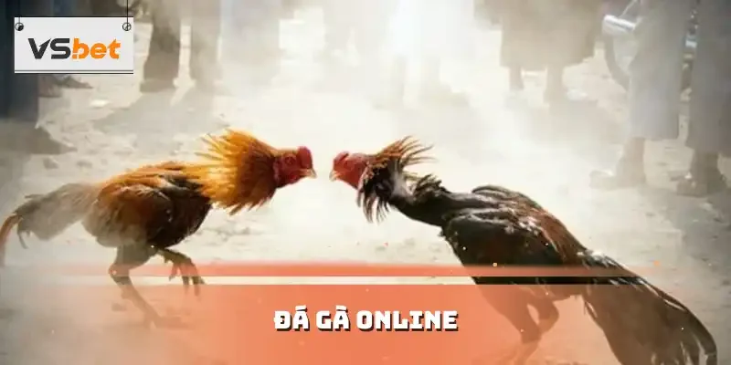 ĐÁ GÀ ONLINE